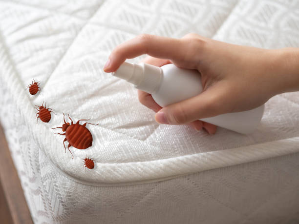 Best Pest Control for Hotels  in Leonardtown, MD